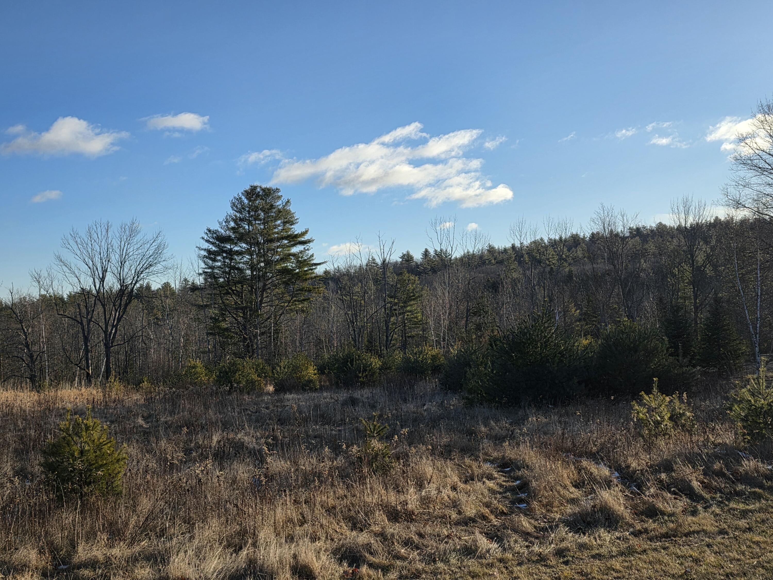 Lot 5 Pigeon Hill Road Mechanic Falls, ME 04256 - Photo 7 of 9 20251222_085249 1