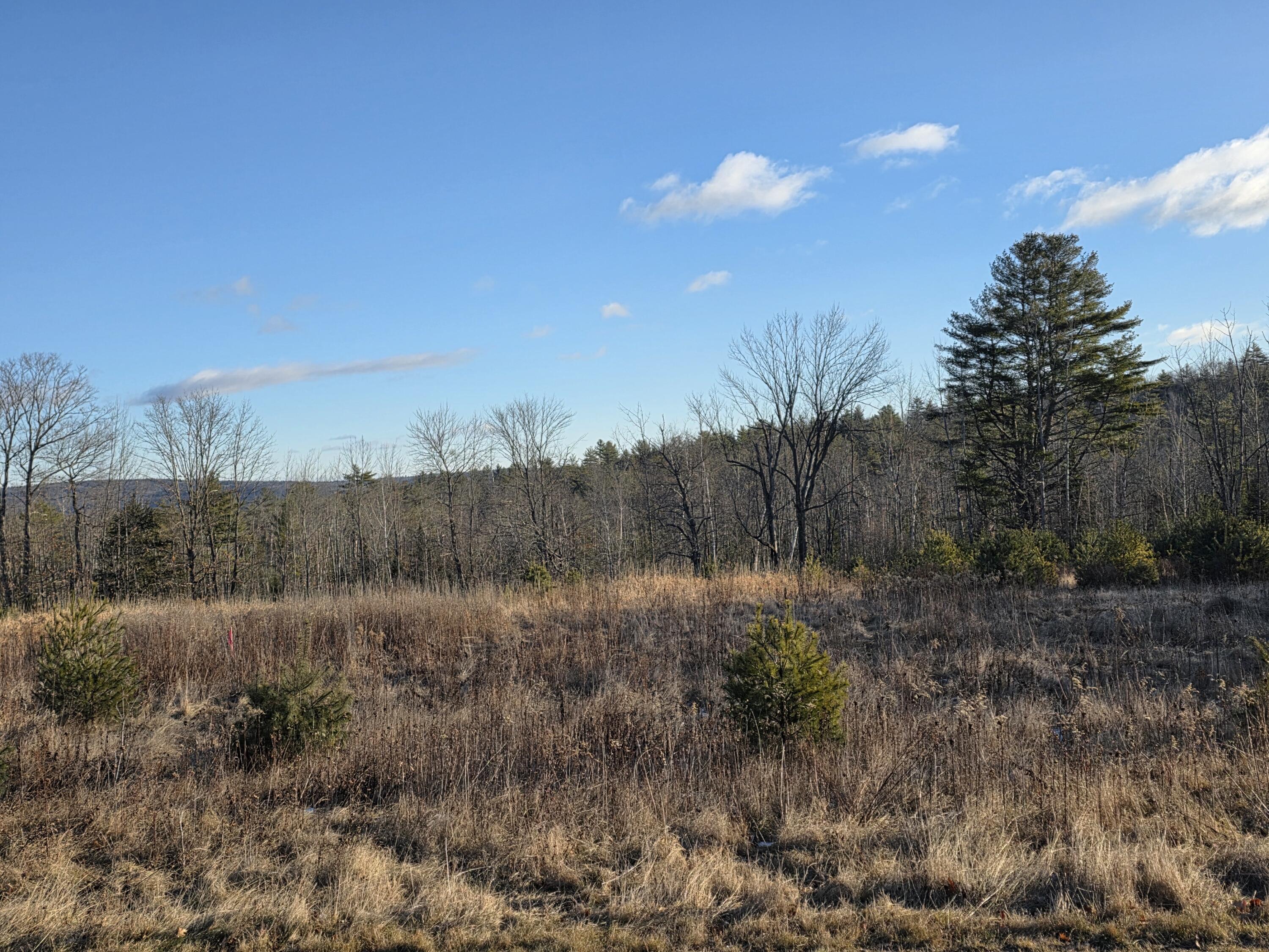 Lot 5 Pigeon Hill Road Mechanic Falls, ME 04256 - Photo 8 of 9 20251222_085251