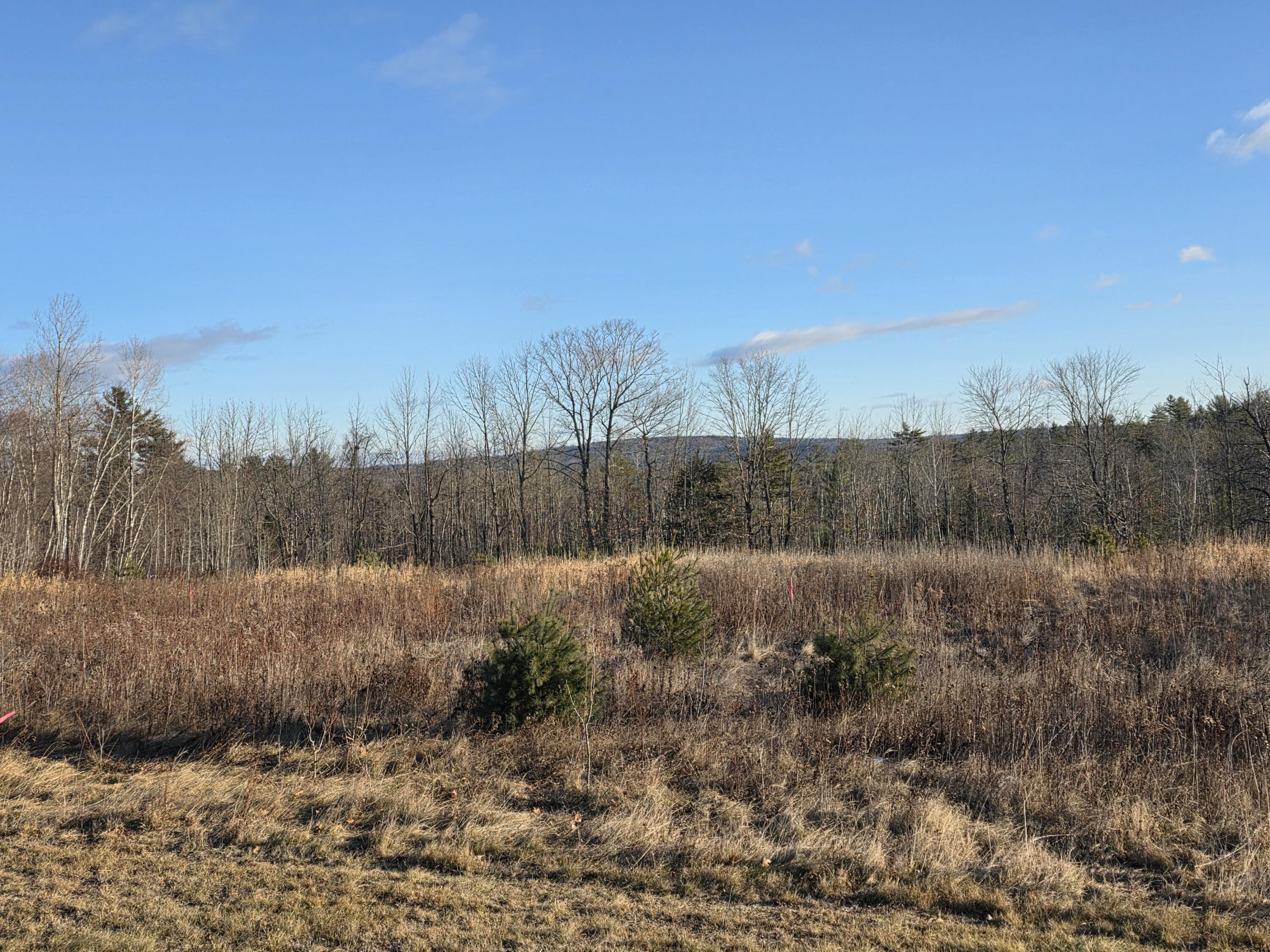 Lot 5 Pigeon Hill Road Mechanic Falls, ME 04256 - Photo 9 of 9 20251222_085252