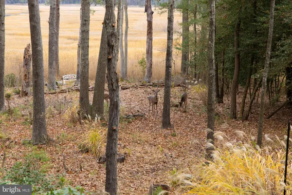 $1,695,000 | 16939 Ketch Court, Lewes, DE 19958