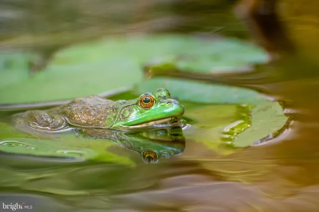 $1,849,900 | 16939 Ketch Court, Lewes, DE 19958