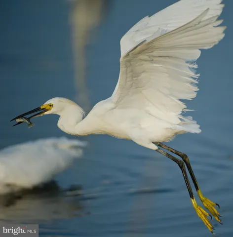 $1,849,900 | 16939 Ketch Court, Lewes, DE 19958