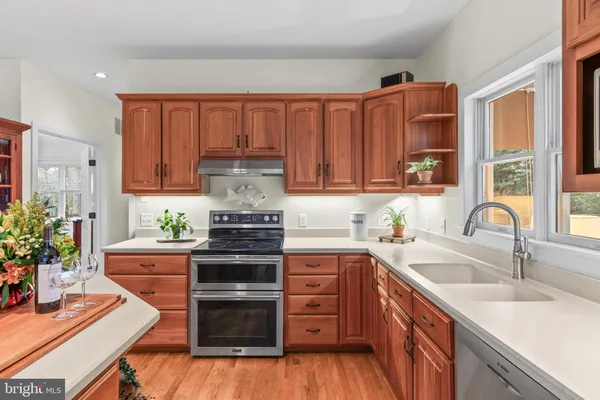 a backyard of a house with plants and trees