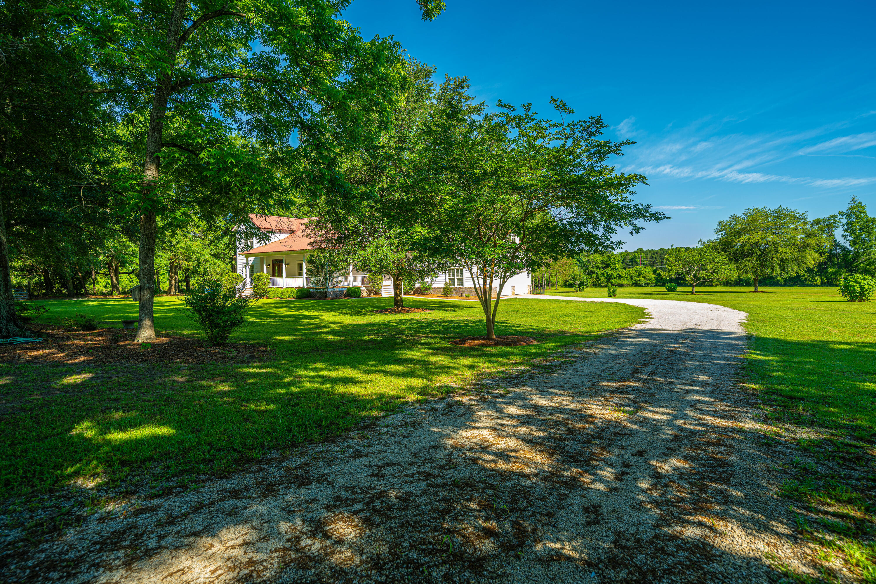 696 Ridge Road Ridgeville, SC 29472 - Photo 56 of 80 Established Trees