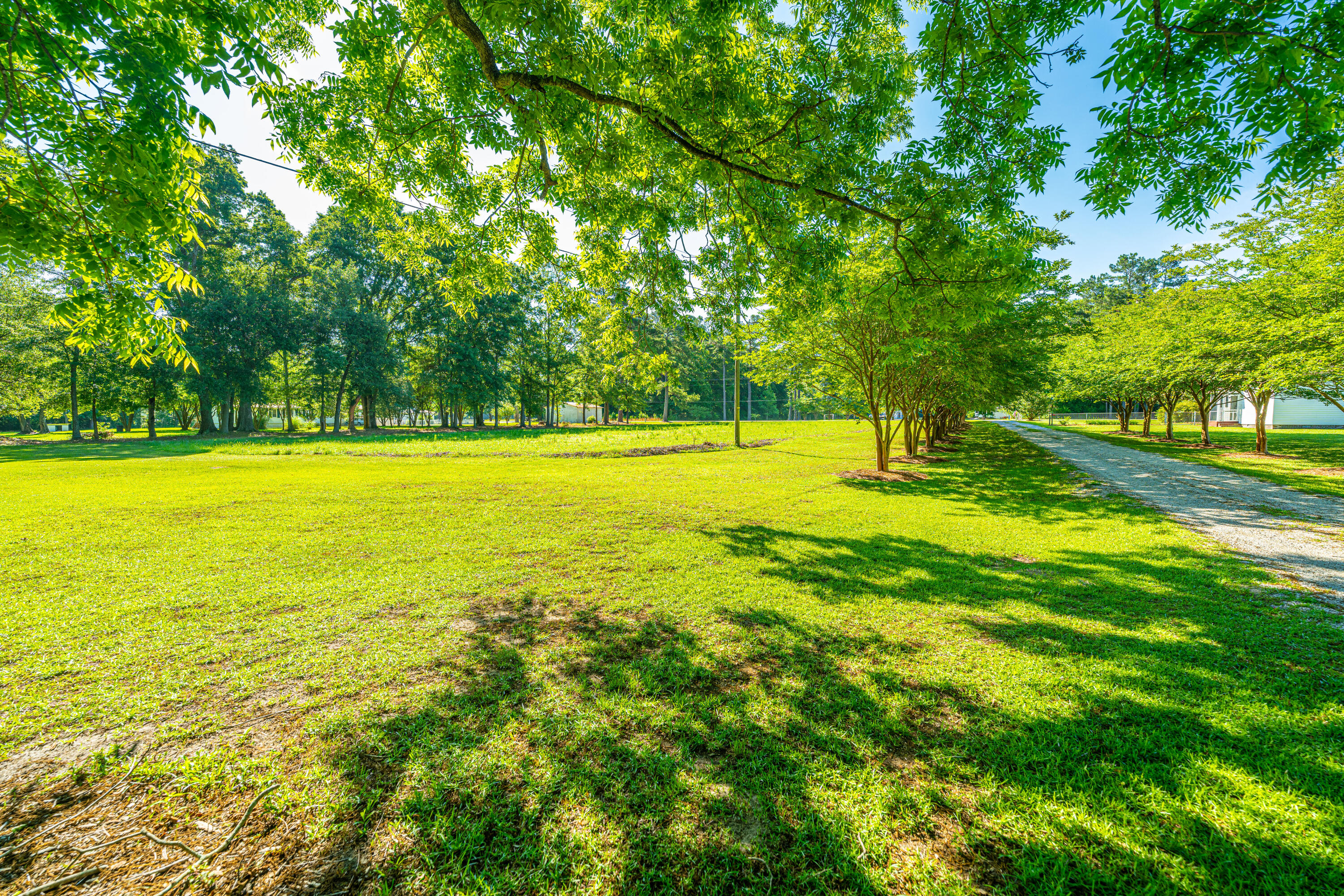 696 Ridge Road Ridgeville, SC 29472 - Photo 58 of 80 Large Garden Areas