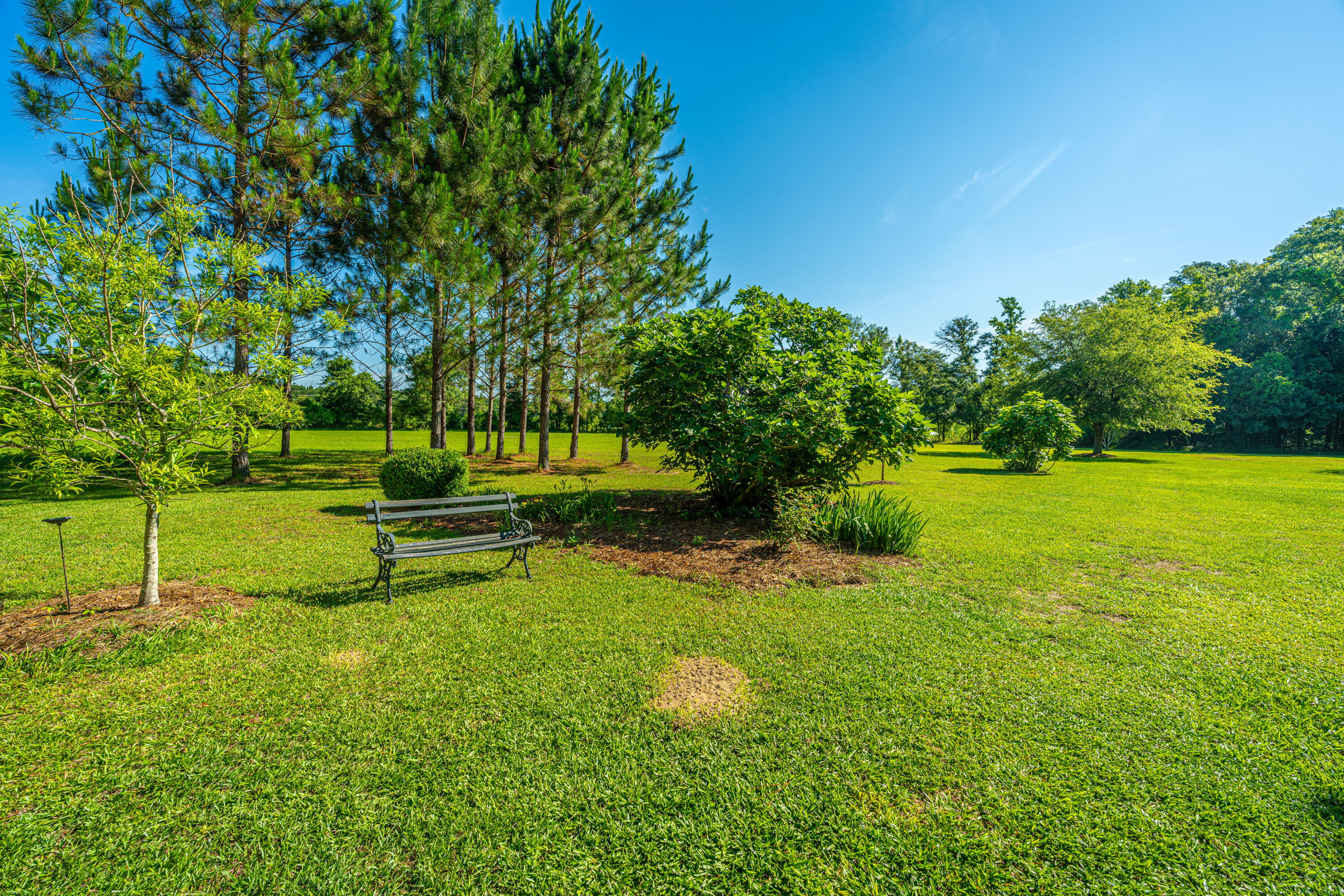 696 Ridge Road Ridgeville, SC 29472 - Photo 59 of 80 Fruit Trees
