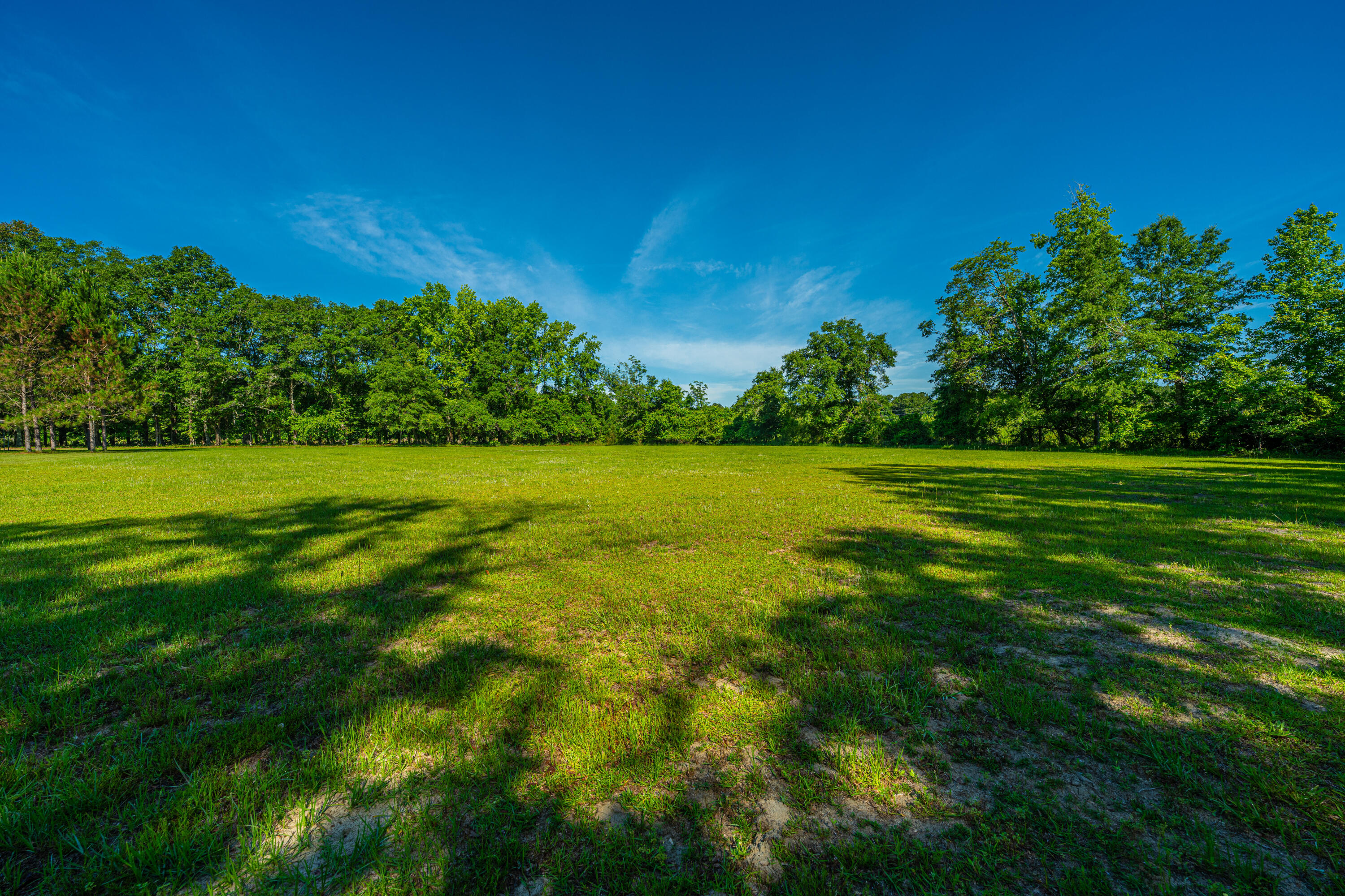696 Ridge Road Ridgeville, SC 29472 - Photo 60 of 80 Green Space