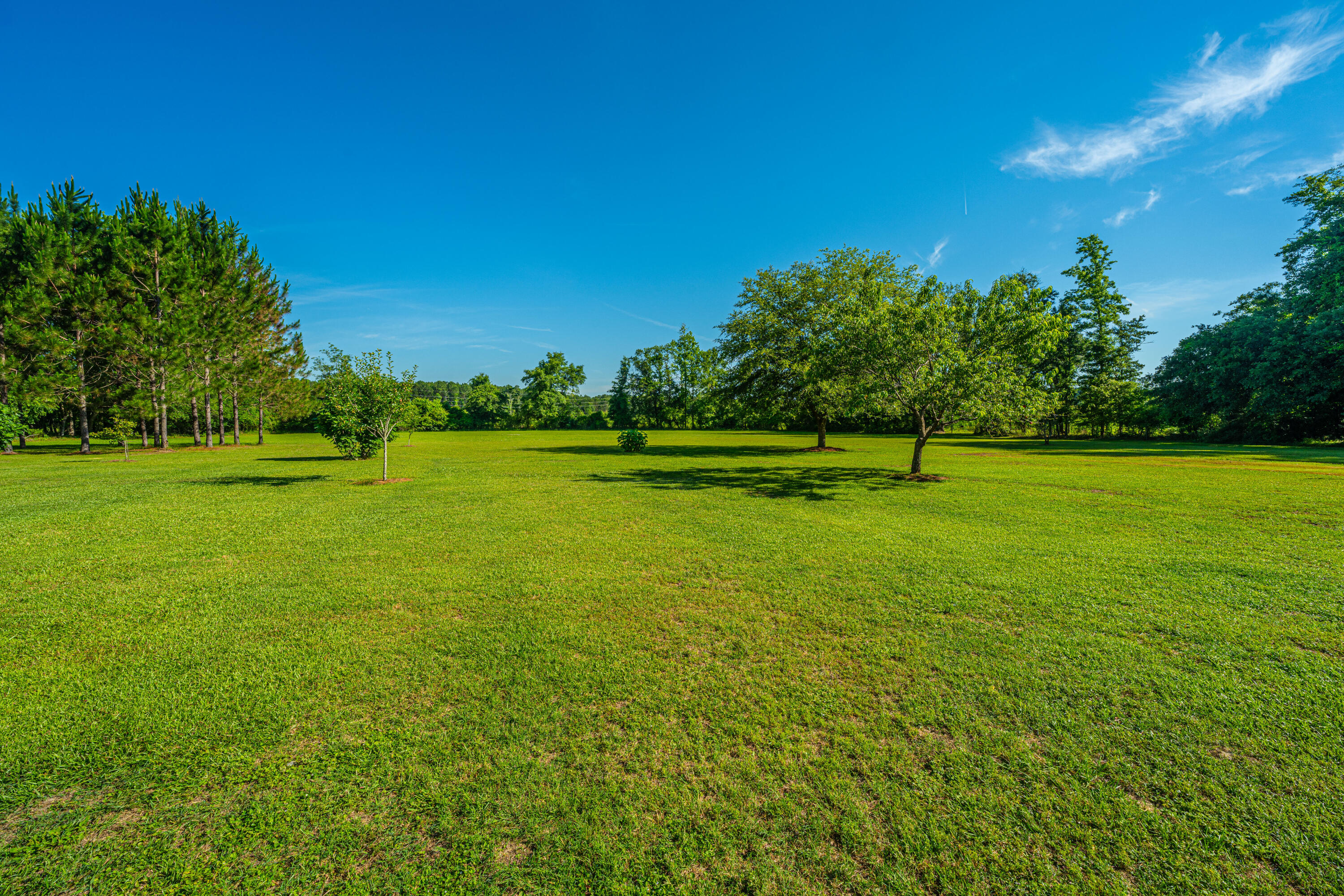 696 Ridge Road Ridgeville, SC 29472 - Photo 61 of 80 What a View!