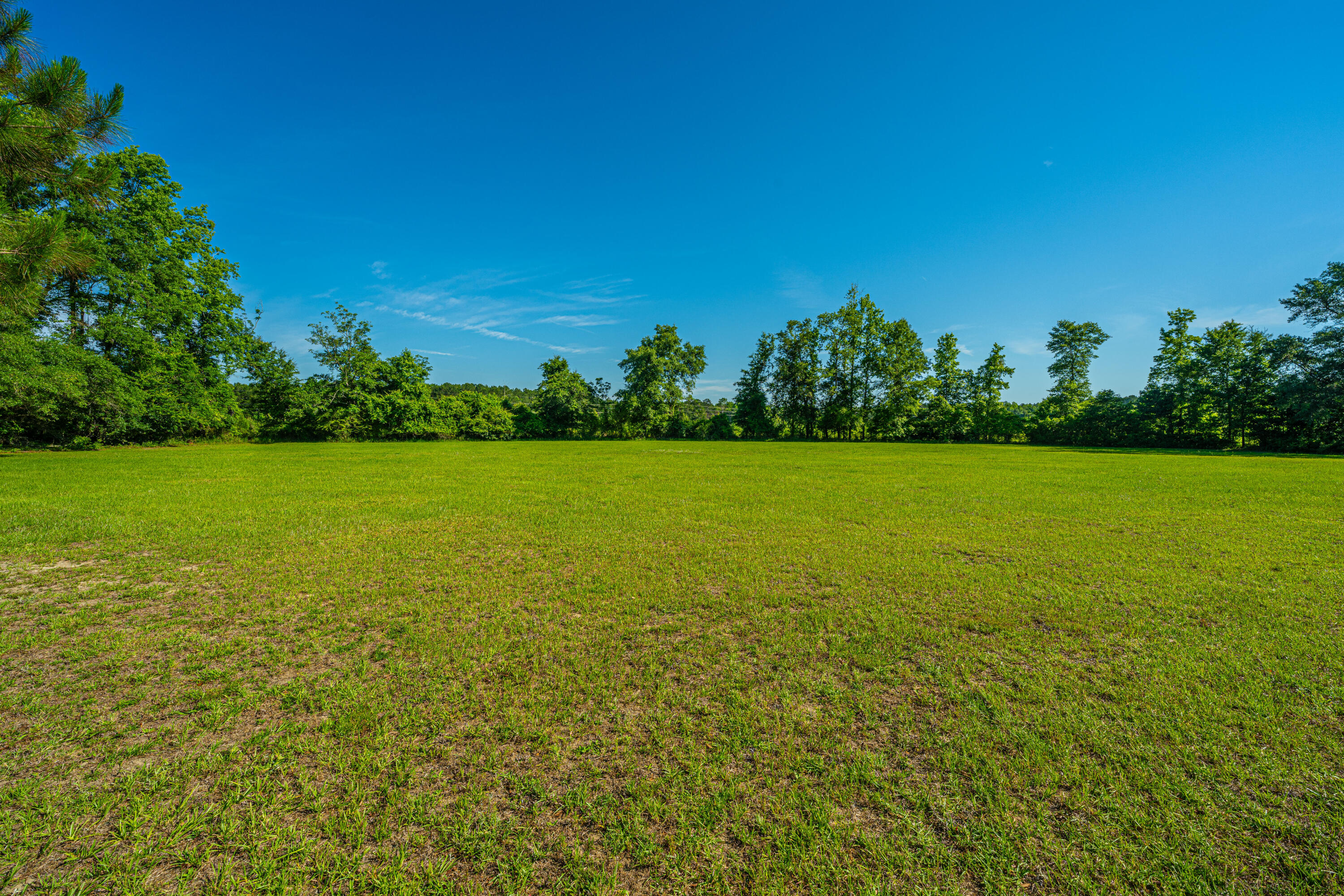 696 Ridge Road Ridgeville, SC 29472 - Photo 62 of 80 Gorgeous Views in all directions