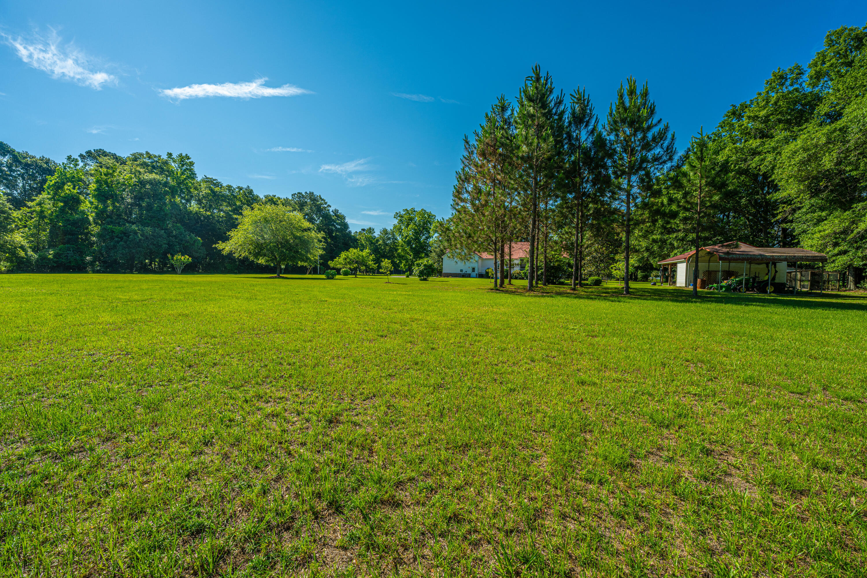 696 Ridge Road Ridgeville, SC 29472 - Photo 63 of 80 Spacious Green Views