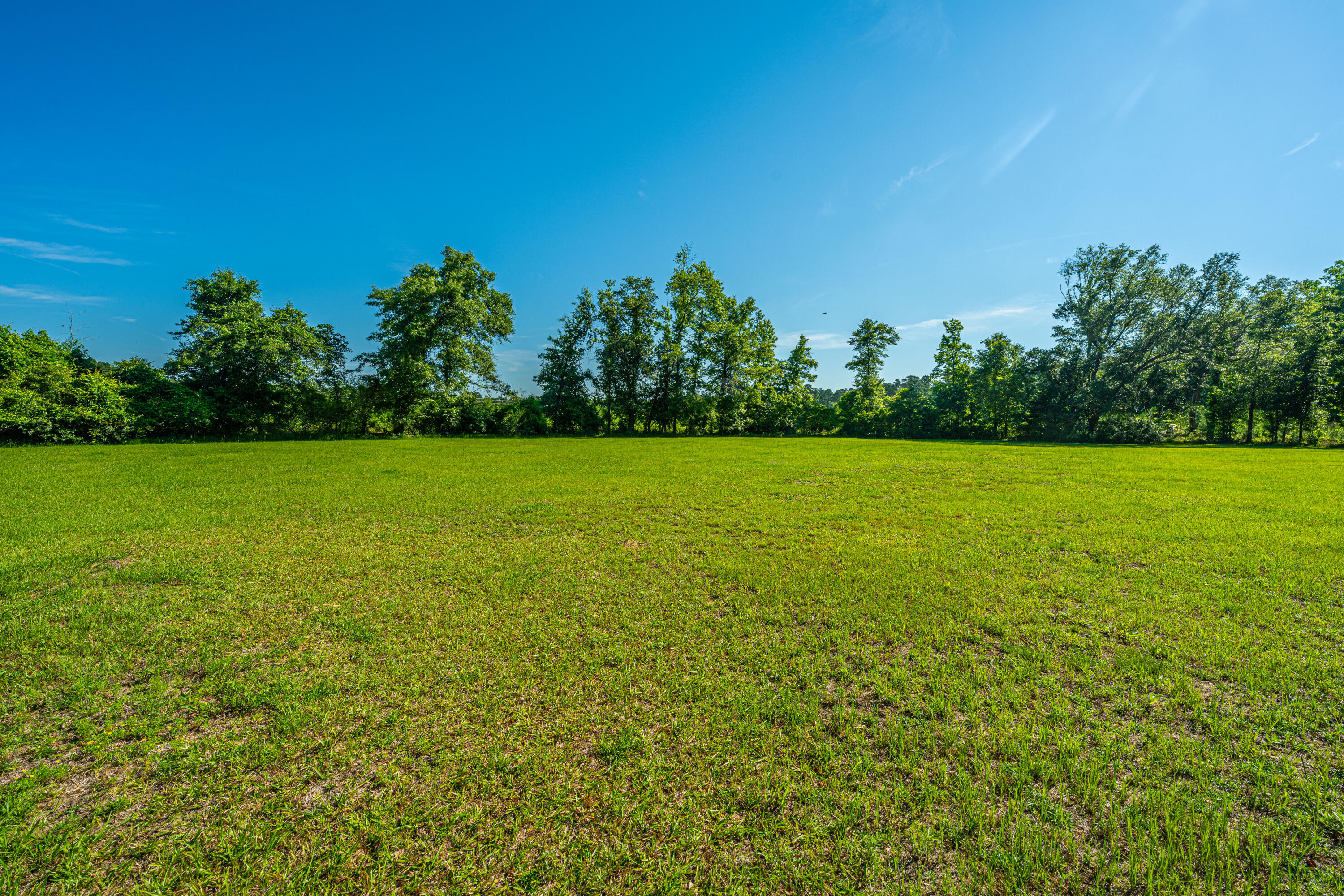 696 Ridge Road Ridgeville, SC 29472 - Photo 64 of 80 More green space and trees