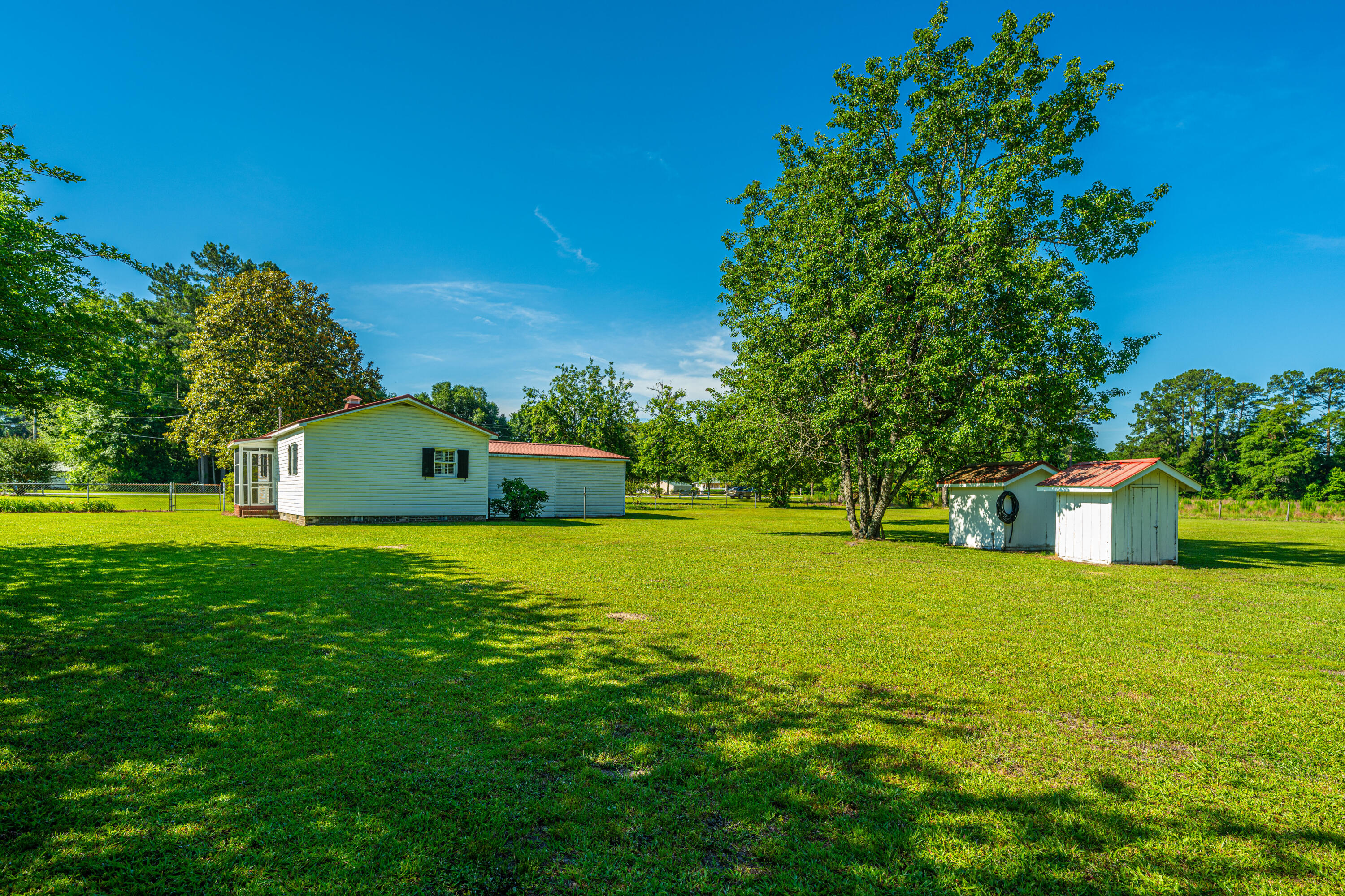 696 Ridge Road Ridgeville, SC 29472 - Photo 67 of 80 Storage Bldg Lawn Area