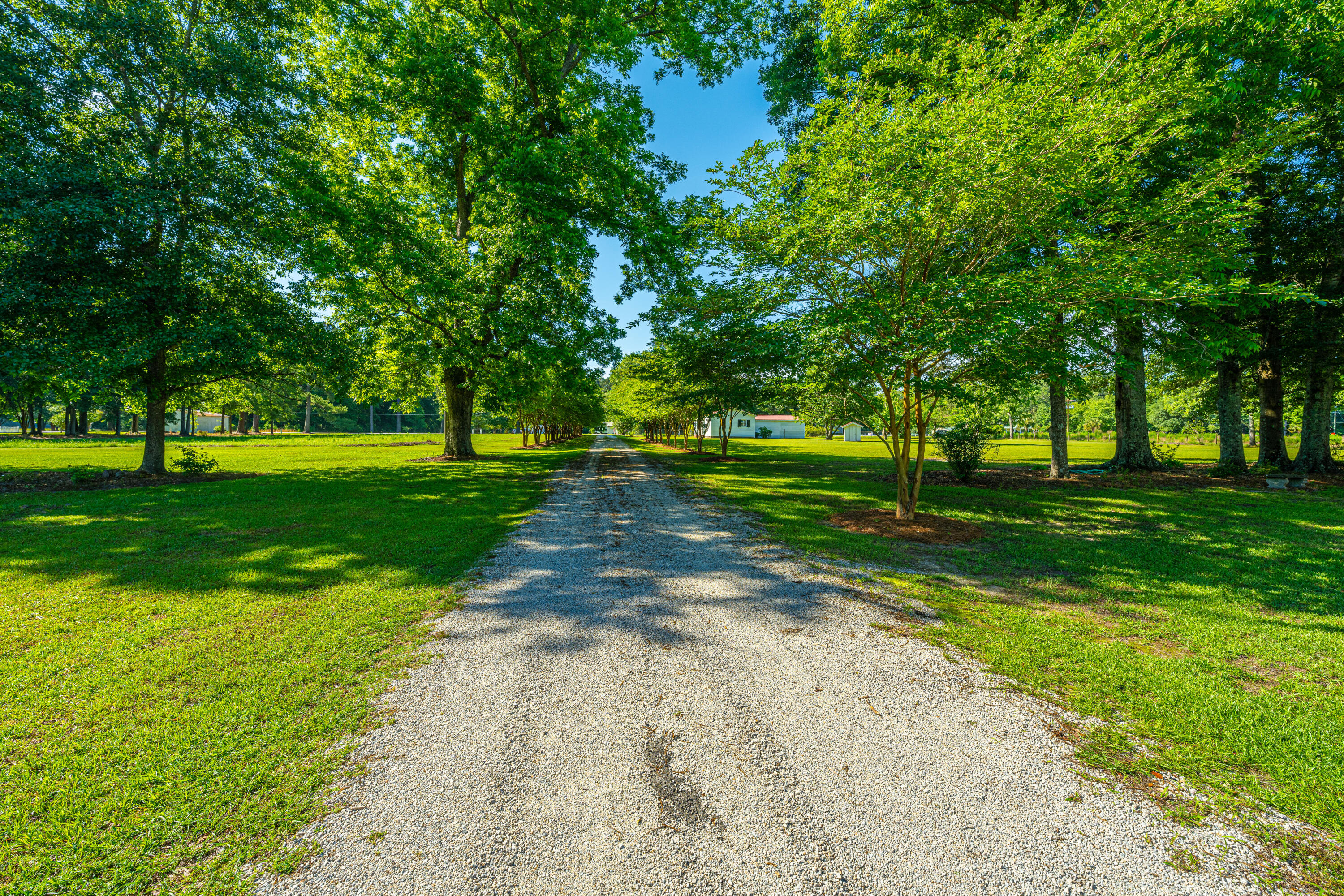 696 Ridge Road Ridgeville, SC 29472 - Photo 71 of 80 Nice Entrance Road