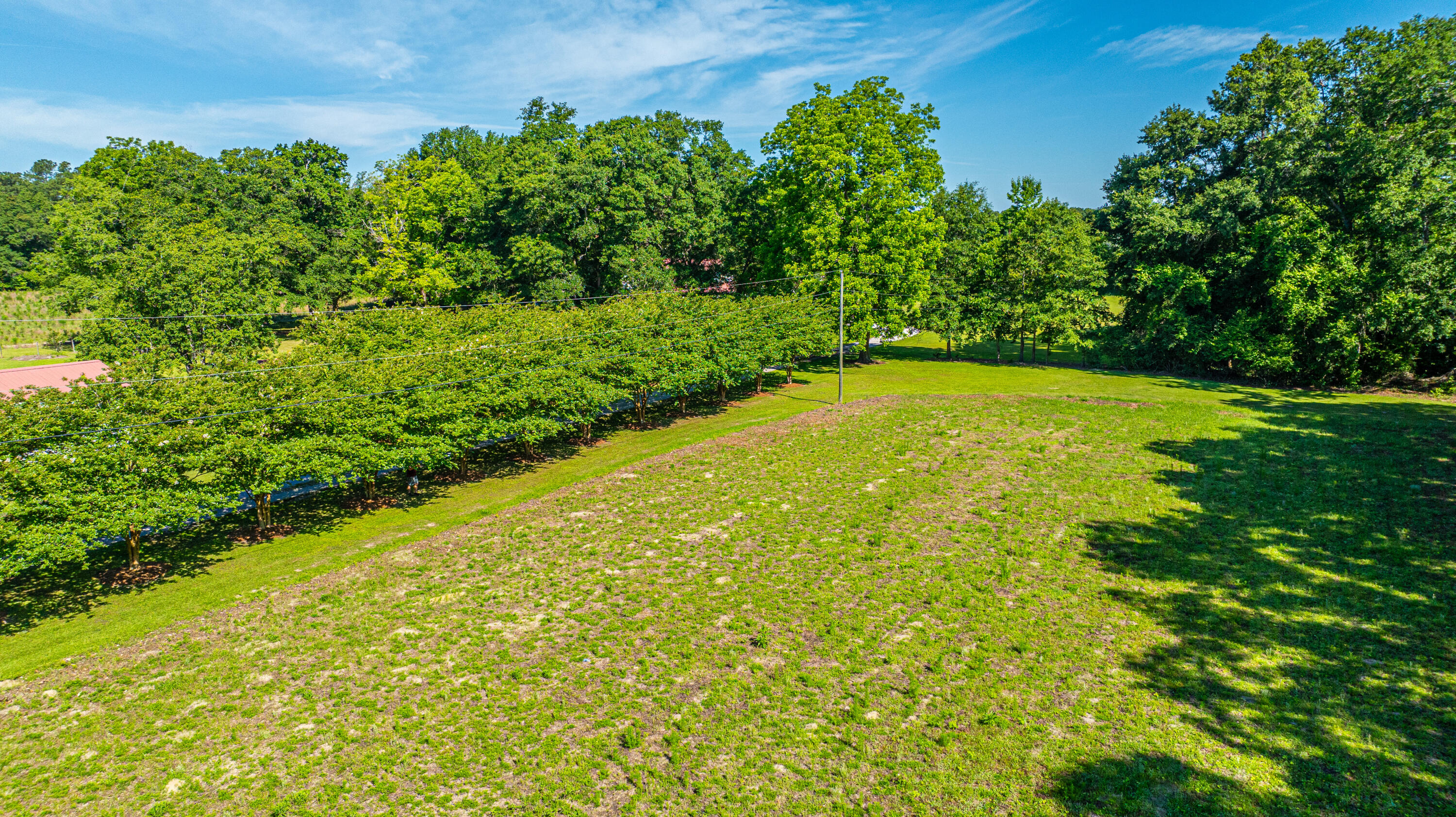 696 Ridge Road Ridgeville, SC 29472 - Photo 72 of 80 Large Garden at Front