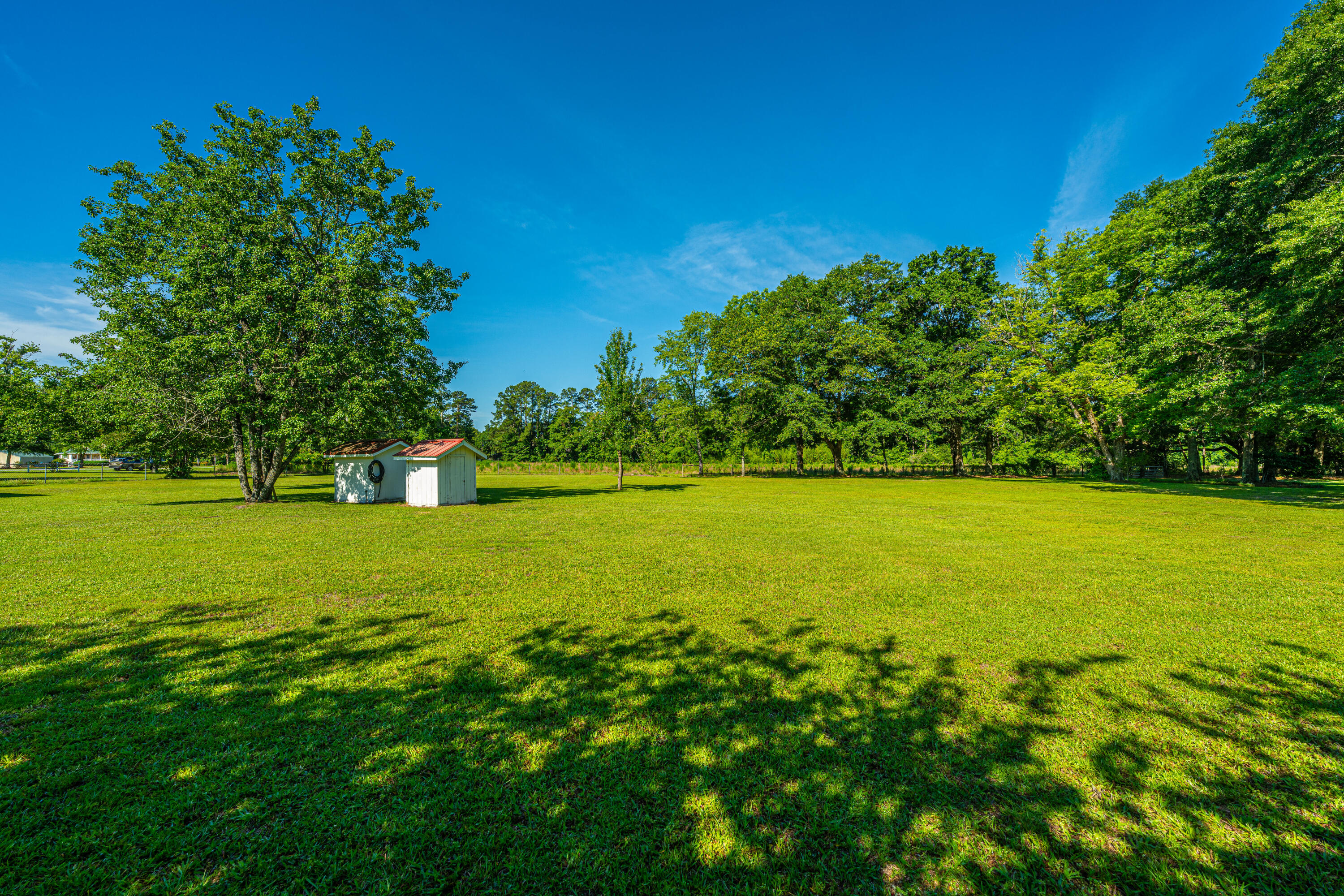 696 Ridge Road Ridgeville, SC 29472 - Photo 73 of 80 Well on property!
