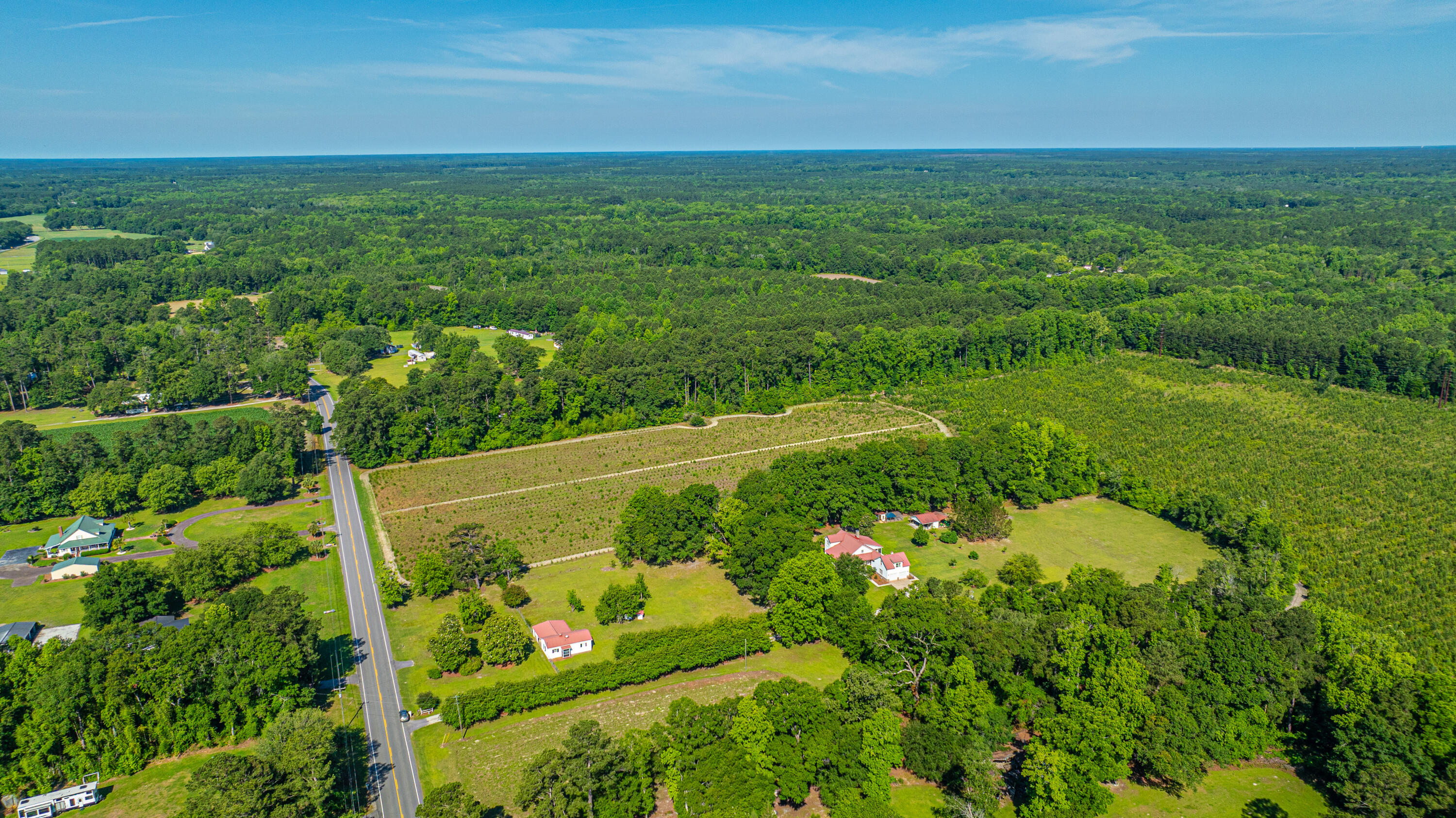 696 Ridge Road Ridgeville, SC 29472 - Photo 75 of 80 Aerial View of Area