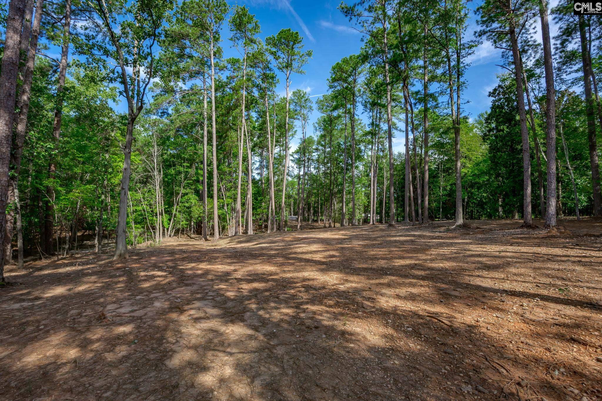 1148 Shull Island Road Gilbert, SC 29054 - Photo 16 of 20