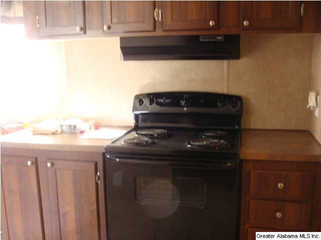 13899 Milldale Road Brookwood, AL 35444 - Photo 9 of 22