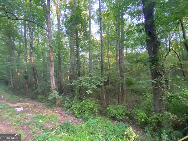 0 Standing Rock Road Senoia, GA 30276 - Photo 8 of 17