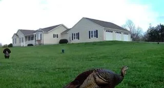 $945,000 | 1962 McDaniel Road, Bedford, VA 24523