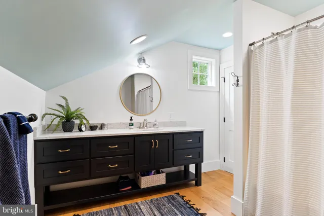 a park view with large trees