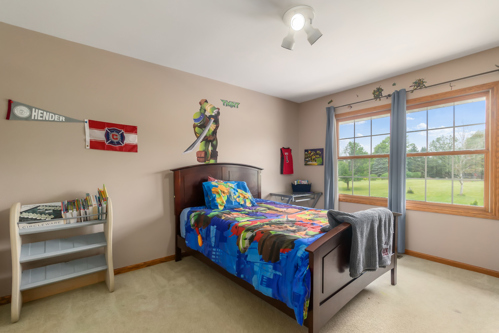 3430 East Norway Trail Crete, IL 60417 - Photo 30 of 35