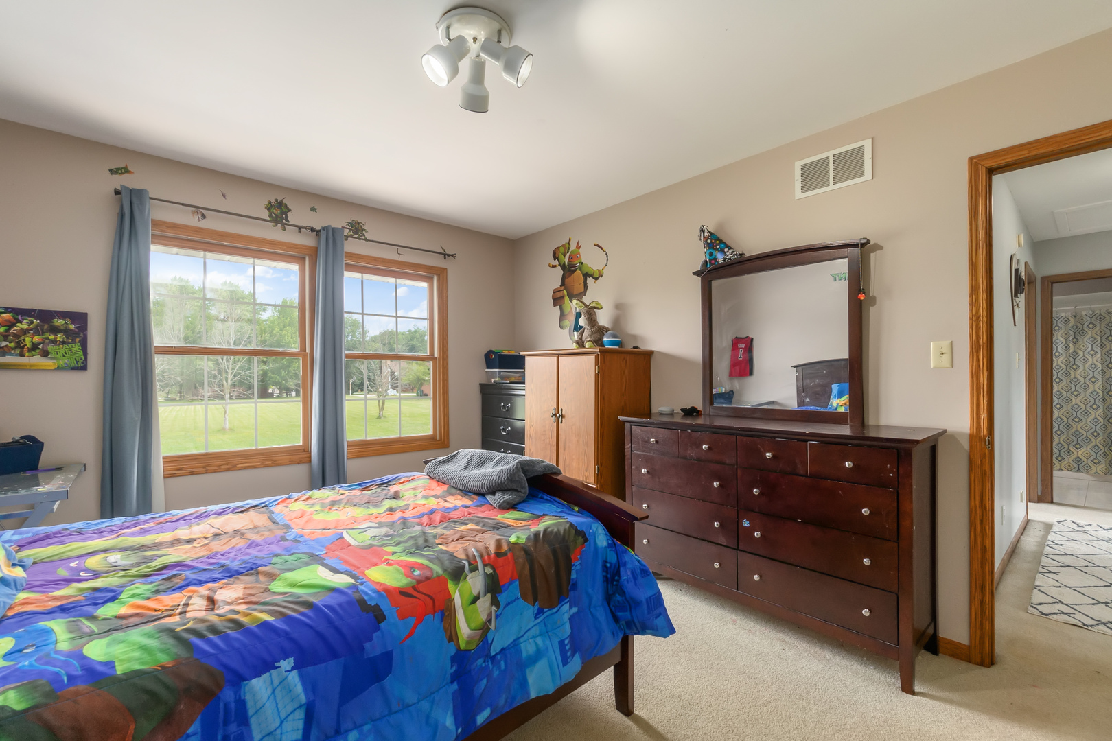 3430 East Norway Trail Crete, IL 60417 - Photo 31 of 35