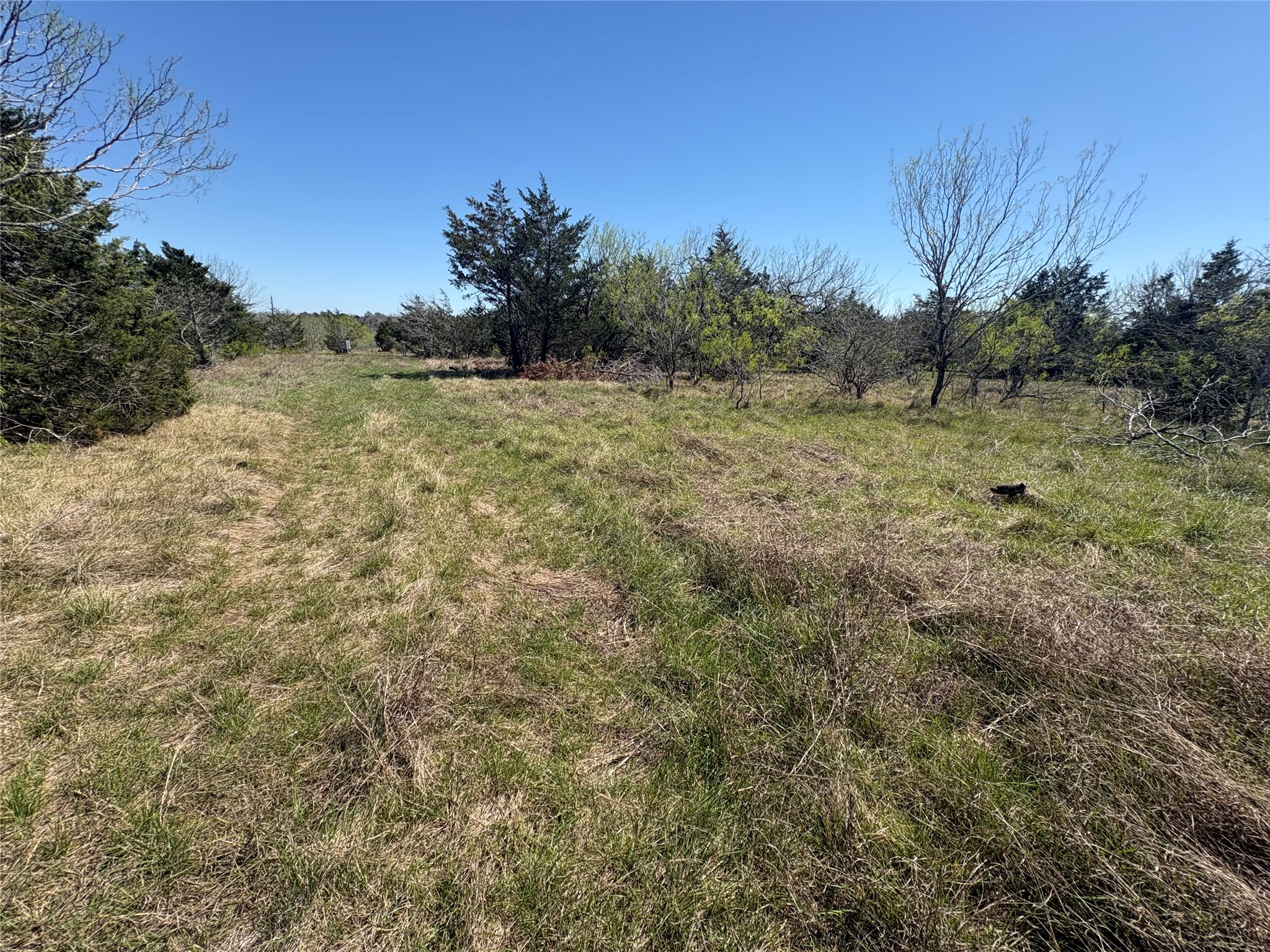 Tbd Patterson Road Flatonia, TX 78941 - Photo 11 of 35 View of yard featuring a view of rural / pastoral area