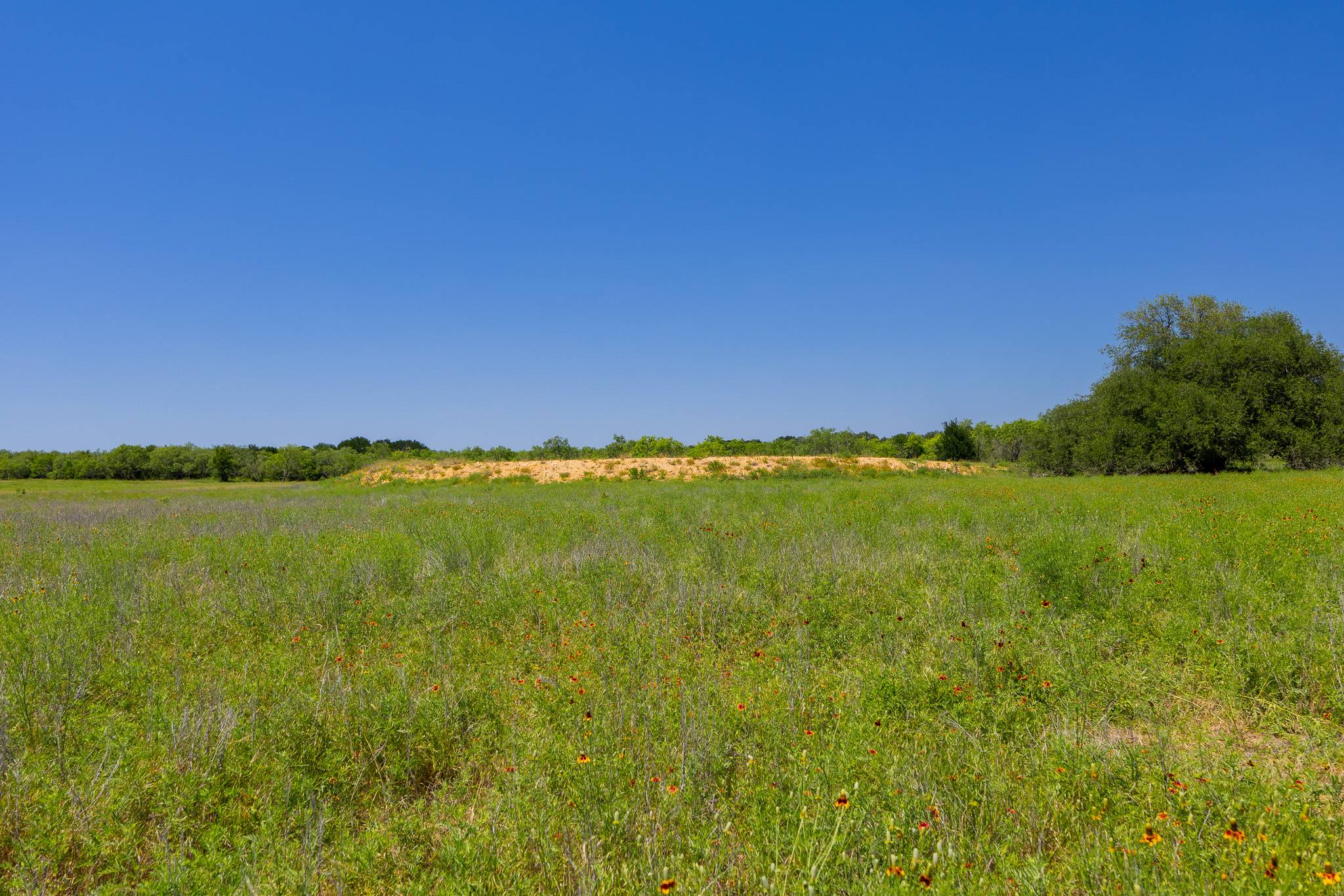 180 Rolling Pond Ranch Road Purmela, TX 76566 - Photo 14 of 21