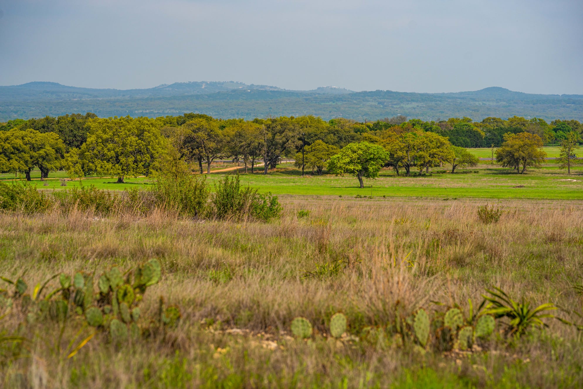 209 Hye Springs Road, Unit 5 Hye, TX 78635 - Photo 3 of 8 Expansive Hill Country views with mature oak trees, native landscape, and wide-open Texas skies surrounding Hye Springs Ranch.