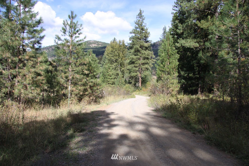 3 Methow Ranch Road Winthrop, WA 98862 - Photo 1 of 25 Gallery Image 1