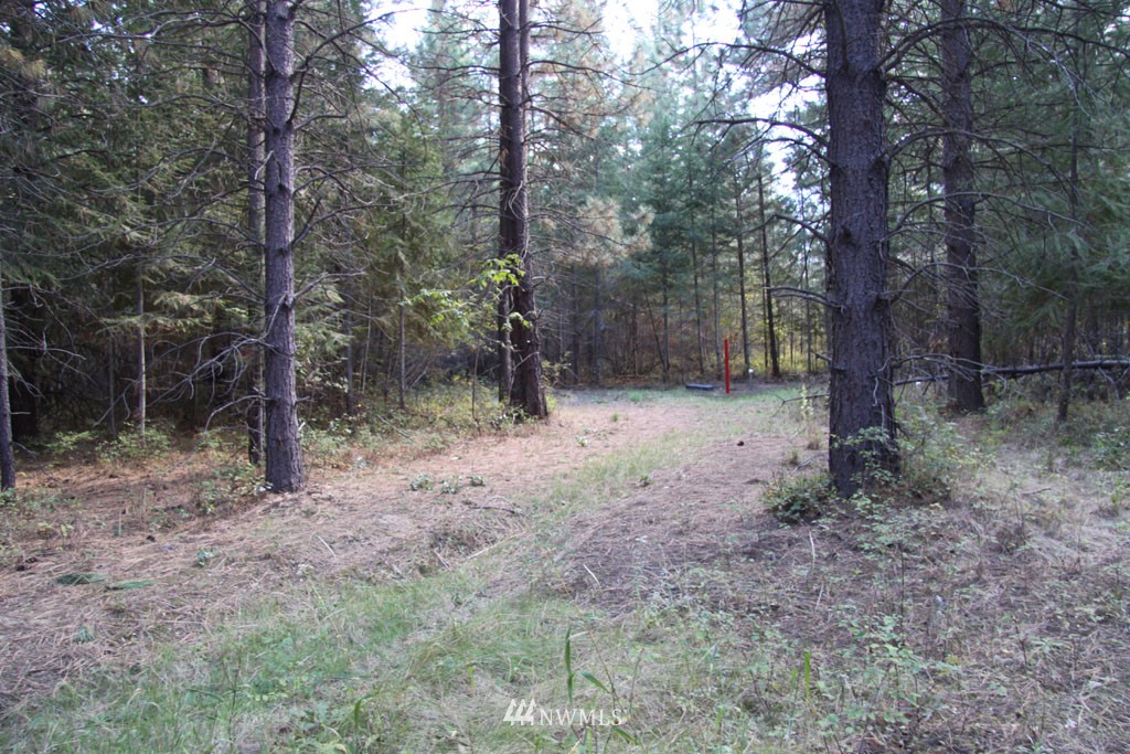 3 Methow Ranch Road Winthrop, WA 98862 - Photo 2 of 25 Gallery Image 2