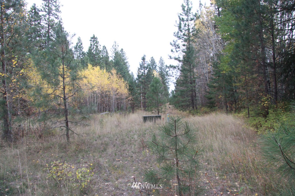 3 Methow Ranch Road Winthrop, WA 98862 - Photo 15 of 25 Gallery Image 15