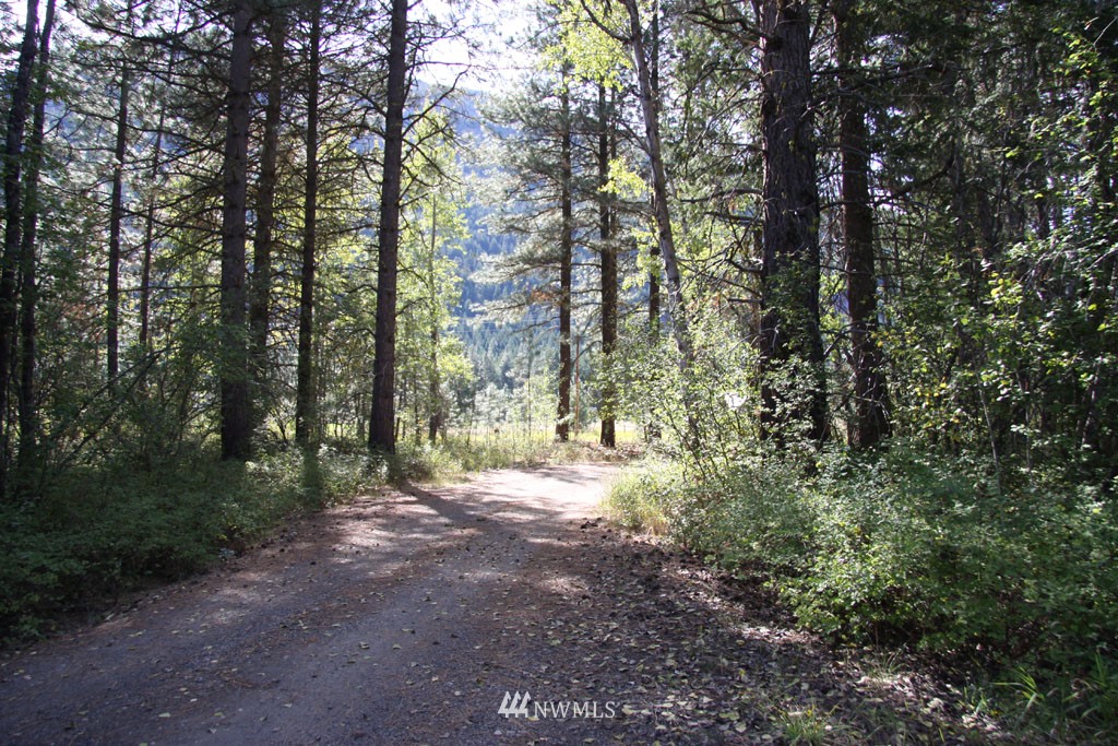 3 Methow Ranch Road Winthrop, WA 98862 - Photo 3 of 25 Gallery Image 3