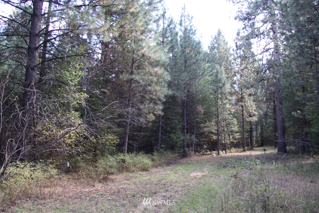 3 Methow Ranch Road Winthrop, WA 98862 - Photo 4 of 25 Gallery Image 4