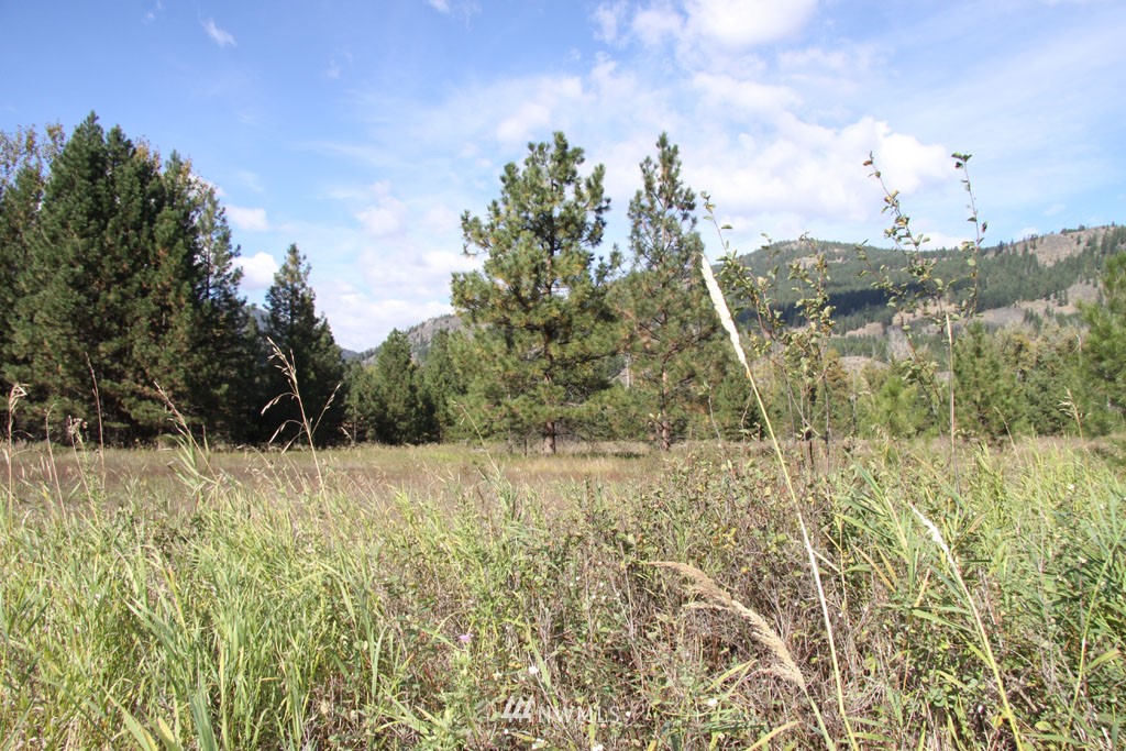 3 Methow Ranch Road Winthrop, WA 98862 - Photo 6 of 25 Gallery Image 6