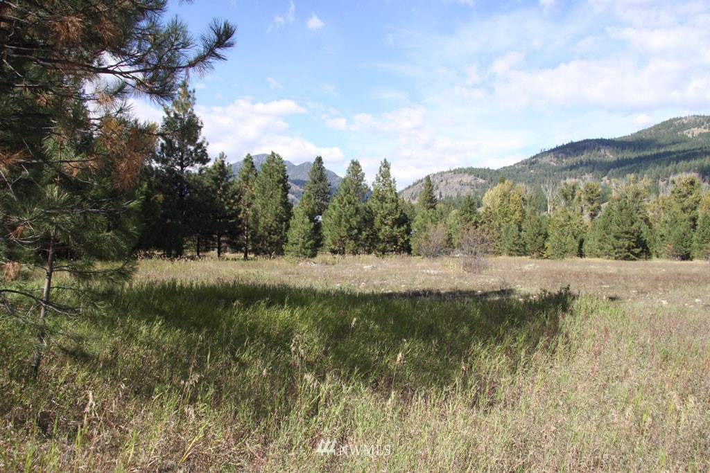 3 Methow Ranch Road Winthrop, WA 98862 - Photo 8 of 25 Gallery Image 8