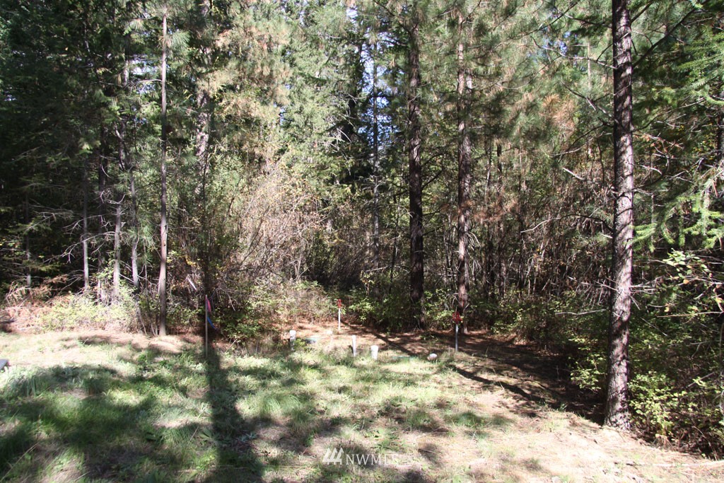3 Methow Ranch Road Winthrop, WA 98862 - Photo 9 of 25 Gallery Image 9