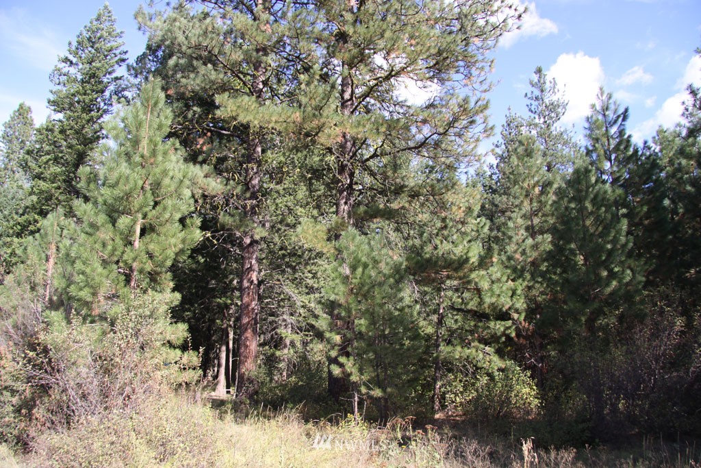 3 Methow Ranch Road Winthrop, WA 98862 - Photo 10 of 25 Gallery Image 10