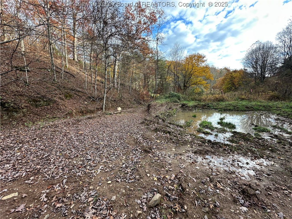 621 3 Mile Road Brohard, WV 26138 - Photo 44 of 48 Gallery Image 44