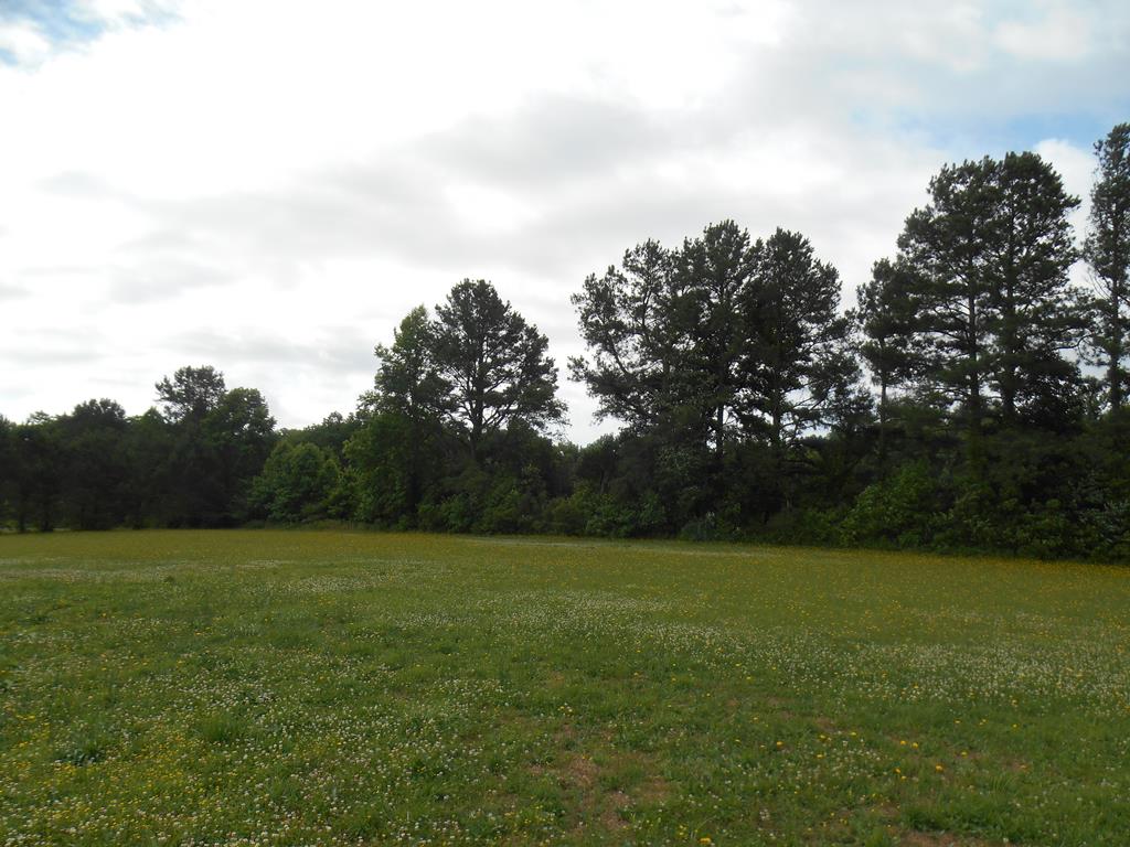 0 Logan Road Onley, VA 23418 - Photo 1 of 12