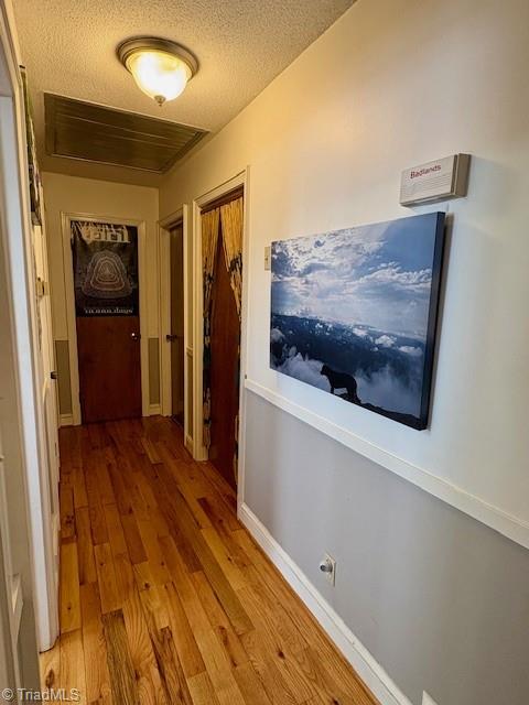 927 Shingle Gap Road Purlear, NC 28665 - Photo 24 of 33 Hallway