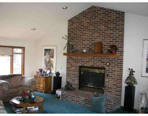736 South Freer Road Chelsea, MI 48118 - Photo 2 of 10 Photo 2