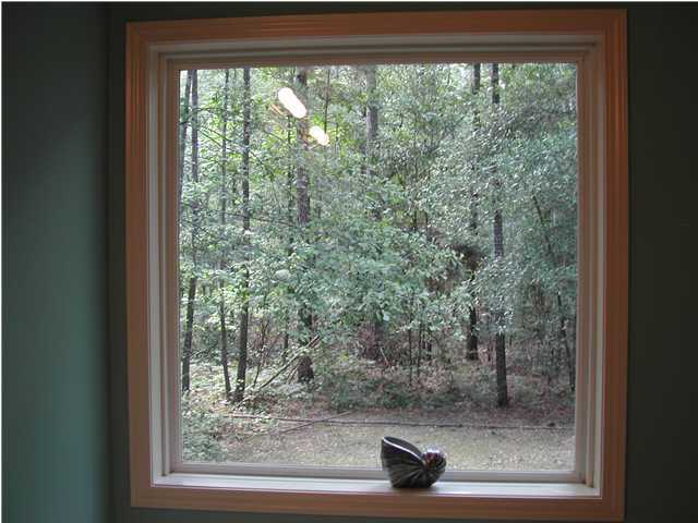 6071 Roper Run Road Ravenel, SC 29470 - Photo 4 of 4 Additional Photo