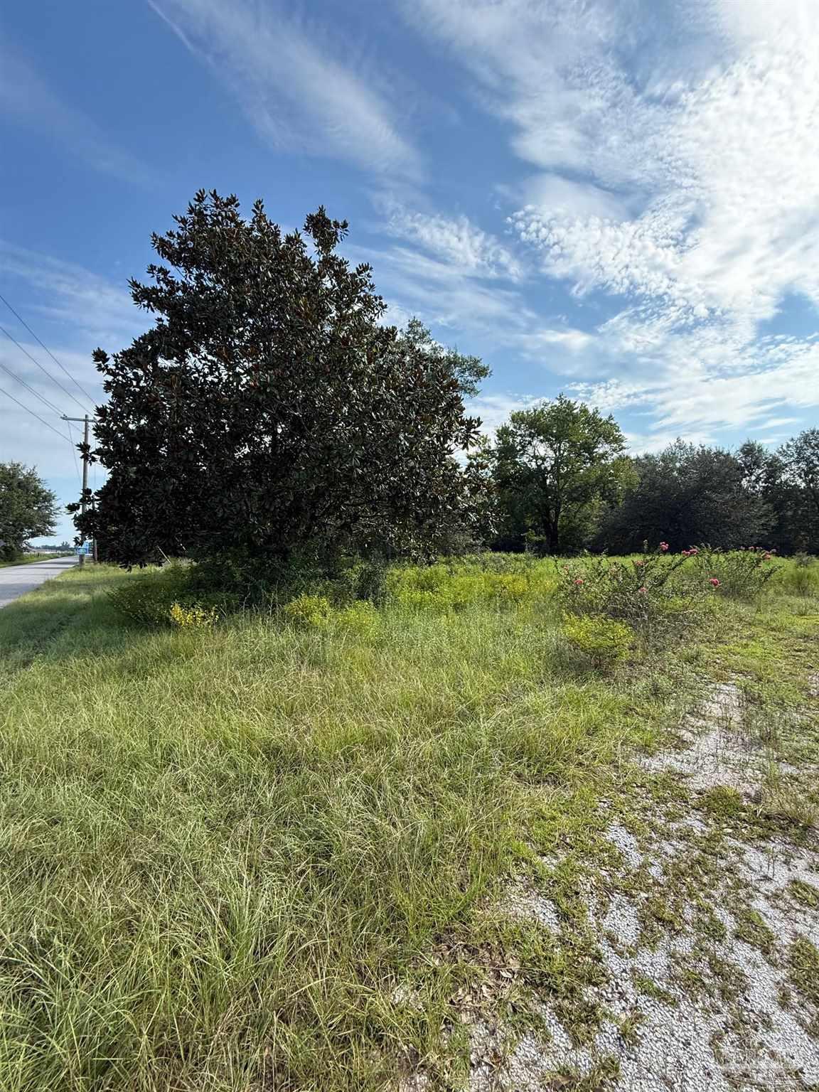 9076 Salter Road Pace, FL 32571 - Photo 2 of 6 Gallery Image 2