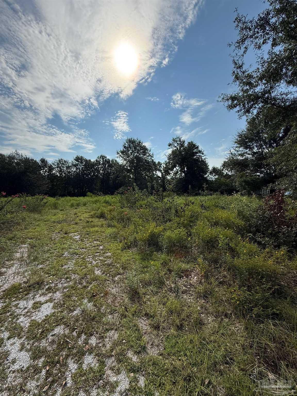 9076 Salter Road Pace, FL 32571 - Photo 3 of 6 Gallery Image 3