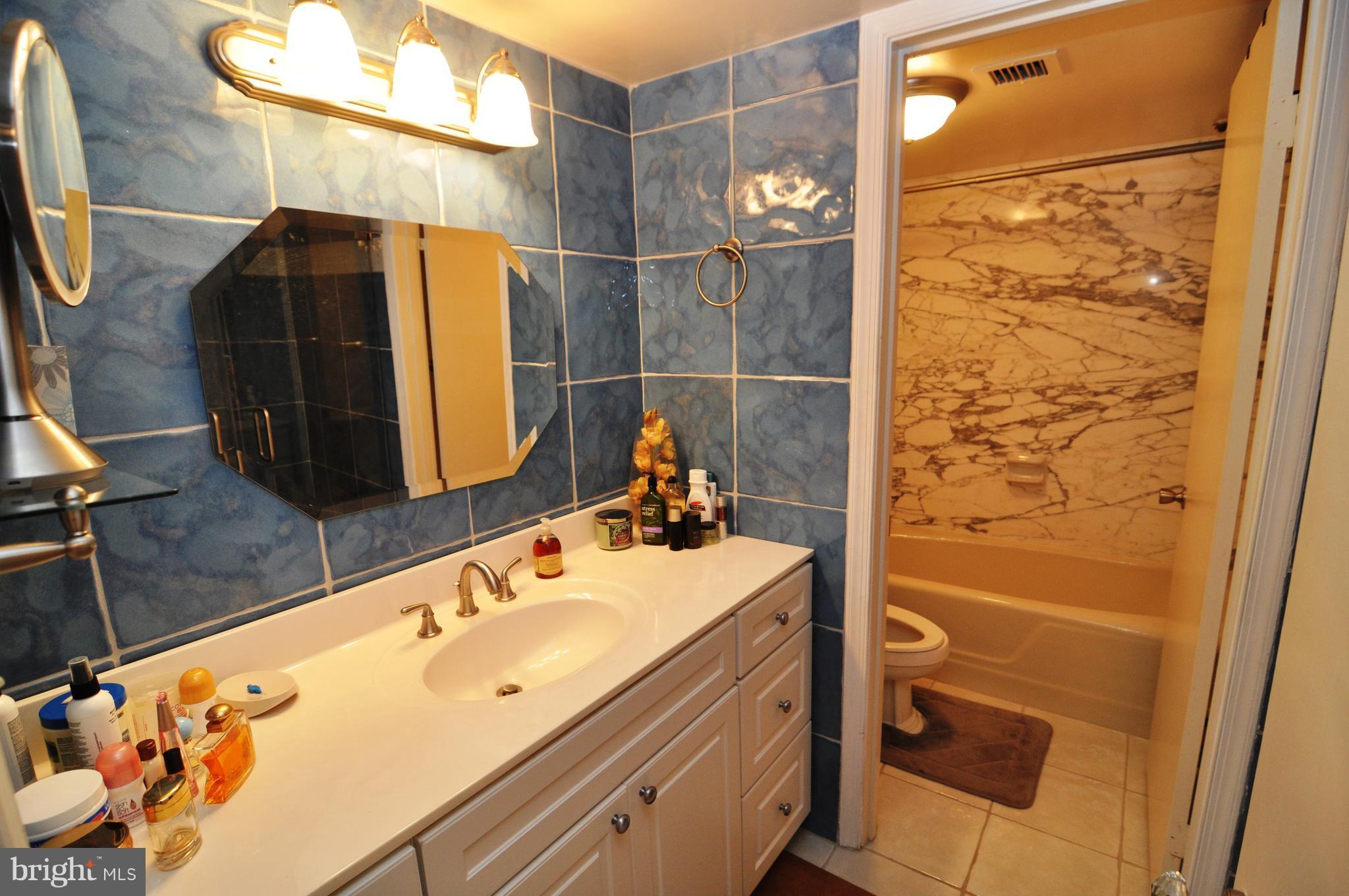 1101 South Arlington Ridge Road, Unit 204 Arlington, VA 22202 - Photo 16 of 28 a bathroom with a sink and a mirror