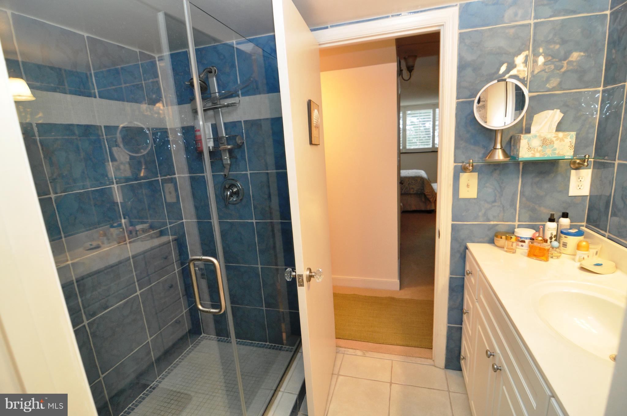 1101 South Arlington Ridge Road, Unit 204 Arlington, VA 22202 - Photo 17 of 28 a bathroom with a sink mirror and shower