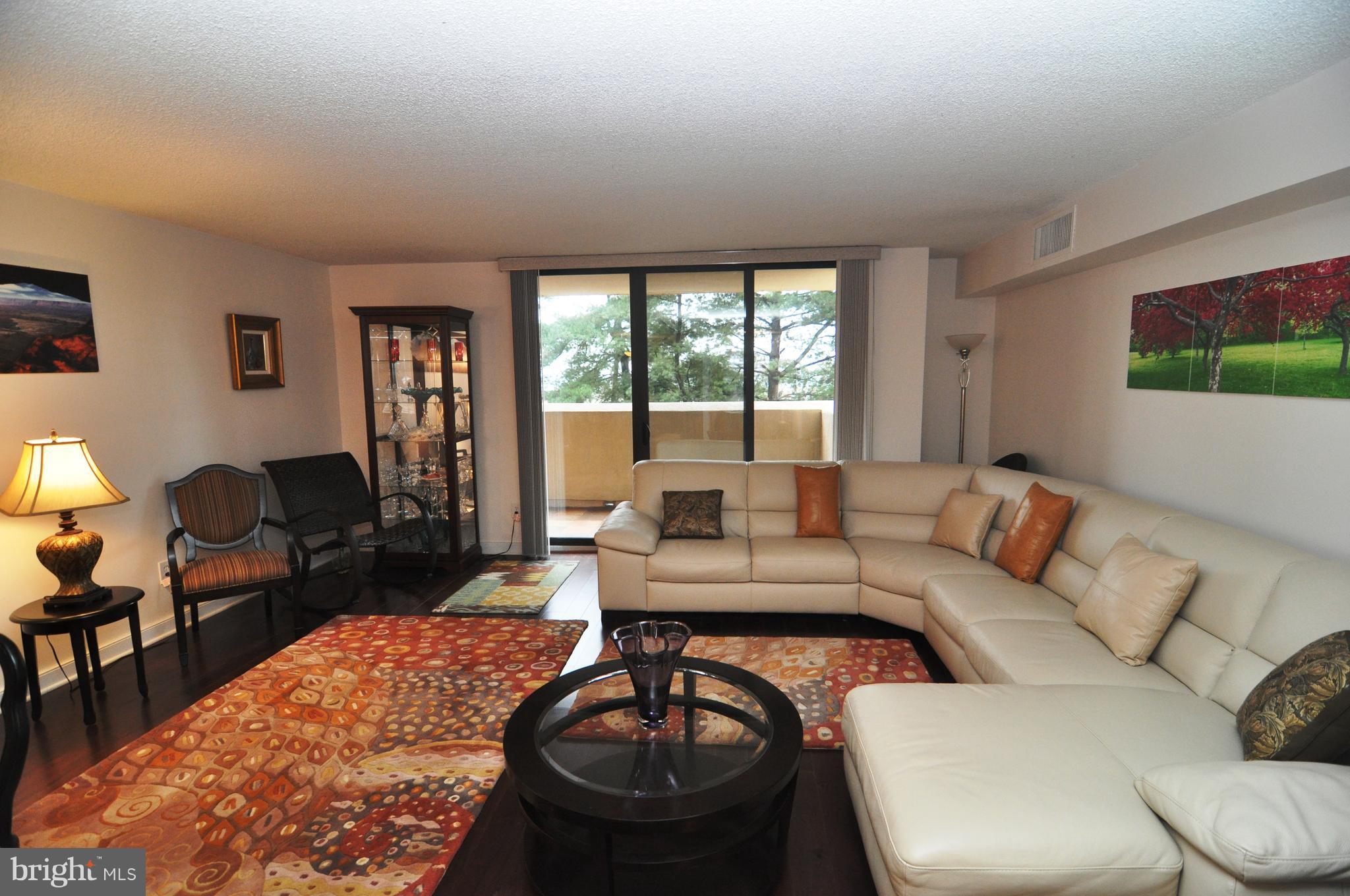 1101 South Arlington Ridge Road, Unit 204 Arlington, VA 22202 - Photo 4 of 28 a living room with furniture a rug and a large window