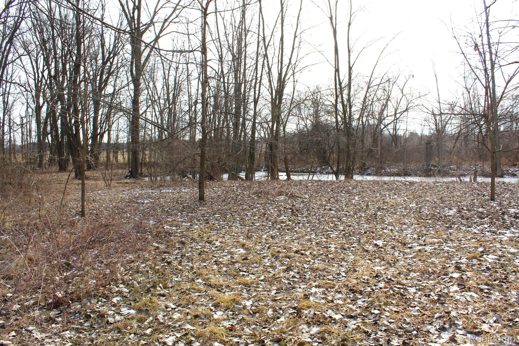 2550 Ducker Road North Branch, MI 48461 - Photo 47 of 64 Gallery Image 47